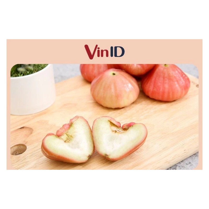 Home-Growth Sweet Java Apple, Wax Apple, Syzygium Samarangense - 5