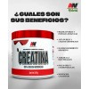 Kit Hydrotein Naturals + Creatina Monohidratada Advance N