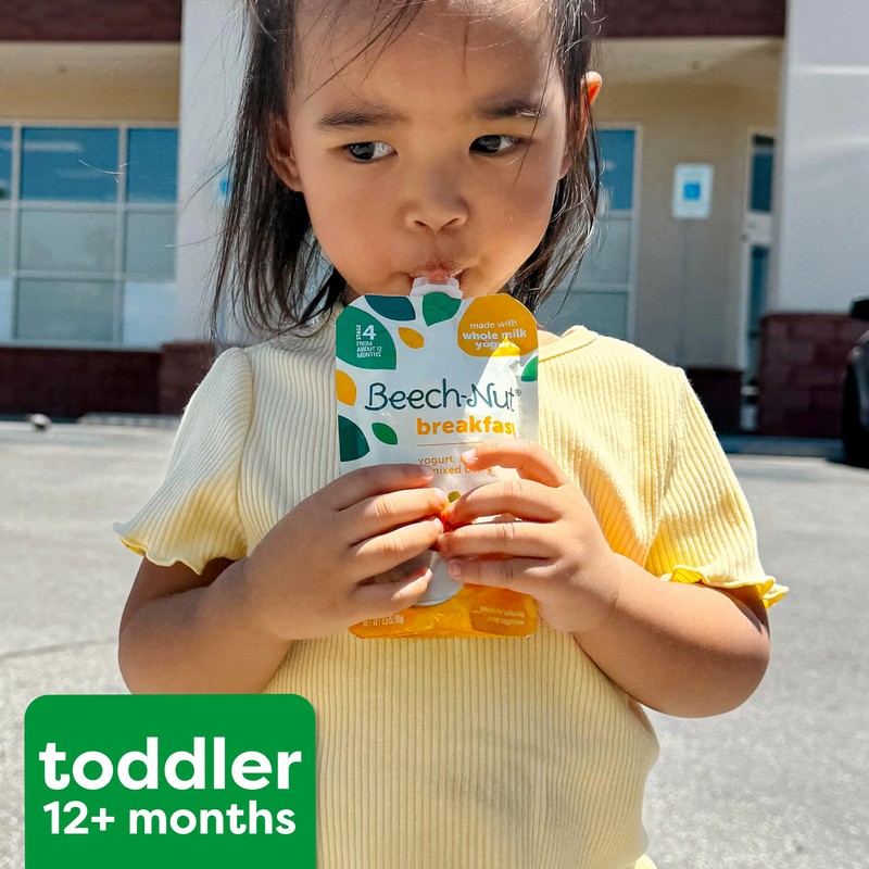 Beech-Nut Baby & Toddler Food Pouches Variety Pack, Protein &