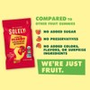 Solely Fruit Gummies Variety Pack of 3 Bundle - 1