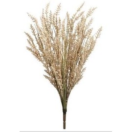 Astilbe Bush x 14 Flame (Beige)