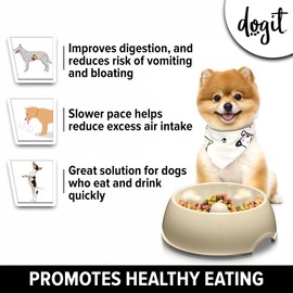 Dogit Dog Bowl Slow Feeder for Wet or Dry Dog Food, Go Slow Anti-Gulping Dog Dish