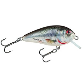 Salmo Butcher 5cm Holographic Real Dace Pike and Predator Fishing Sinking Lure