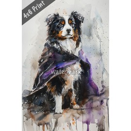 Dog Australian Shepherd in a magicians cape watercolor Art 4x6 Print