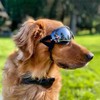 Gafas De Sol para Perros, Protección Ocular UV, Viento y