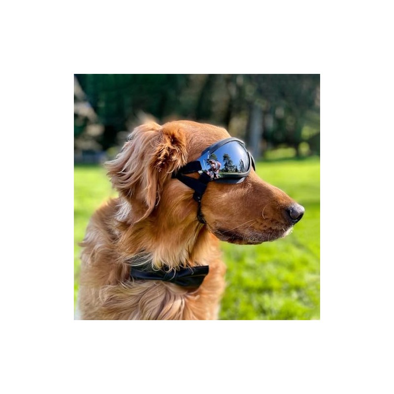 Gafas De Sol para Perros, Protección Ocular UV, Viento y