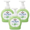 I'm Clean Antibacterial Foam Hand Soap Green Grape Fragrance, 490ml, 3 Pieces / 아이깨끗해 항균 폼 핸드솝 청포도향, 490ml, 3개