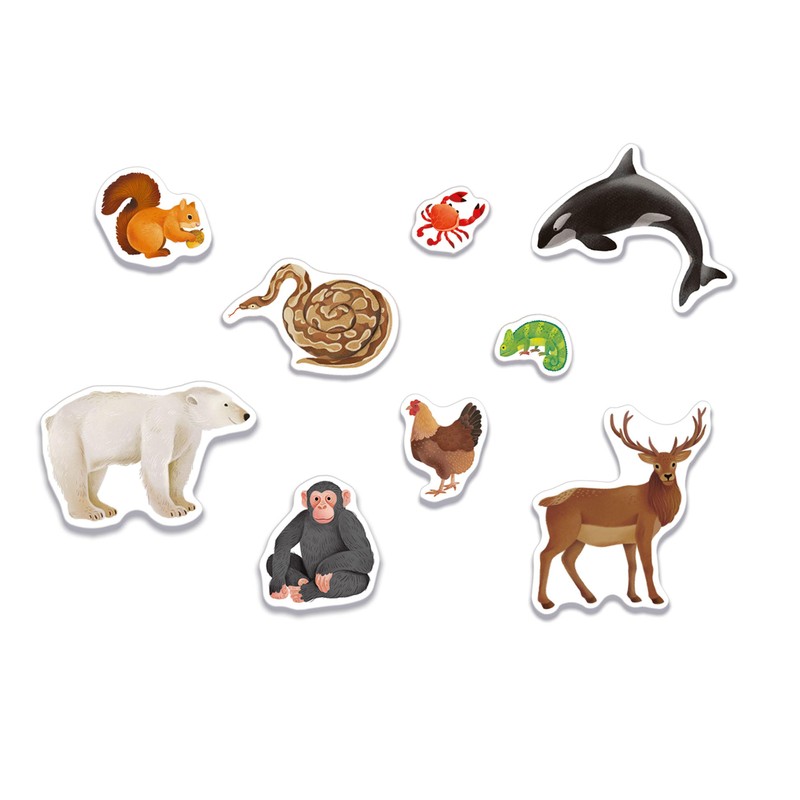 Clementoni - Sapientino Montessori 3 Years with Shaped Cards, Flashcards,