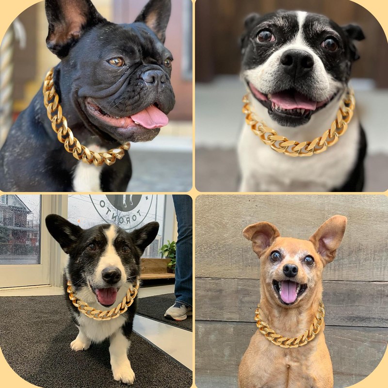 BAOBOTE 15MM Gold Stainless Steel Dog Collar with Cuban Link