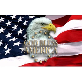 ARAZADR Beginners Cross Stitch Kits Stamped Full Range of Embroidery Kits for Adults DIY 3 Strands 11CT Cross Stitch Embroidery Patterns for Needlepoint kit- Eagle and American Flag 15.75×11.81inch
