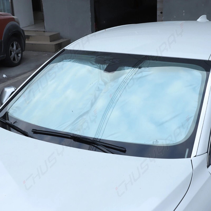 CHUSYYRAY 54.72x28.34inc