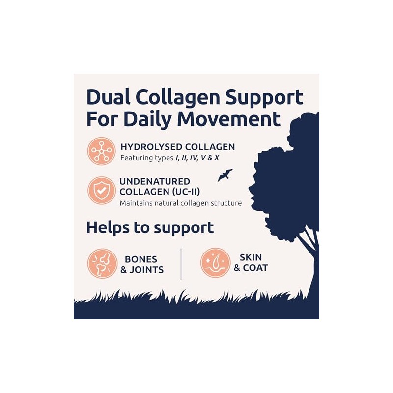 Collagen for Dogs | Dog Joint & Mobility Supplement with