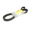 Bosch 1 987 946 282 Loose Multi-V Belt