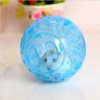 RoadLoo Hamster Ball, 2Pcs Hamster Exercise Wheel Mini Jogging Running