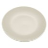 Devon Ceramics Ltd Set of Stoneware Dinner Plates (Set of