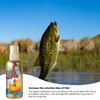 Fishing Scent Attractant,100ml Fish Attraction Smell Enhancer | Strong Liquid,