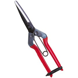 CHIKAMASA T-700 Green Fruit Shears with Round End Long Blade Spring Plastic Coating