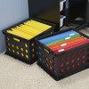 Sterilite Plastic File Crate in Black