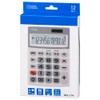 Ohm Electric KCL-114 12-Digit Calculator (Large LCD, Large Keys, 2