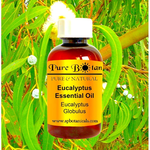 Best Eucalyptus Essential Oil 100% Purely Natural Therapeutic Grade - 4oz!