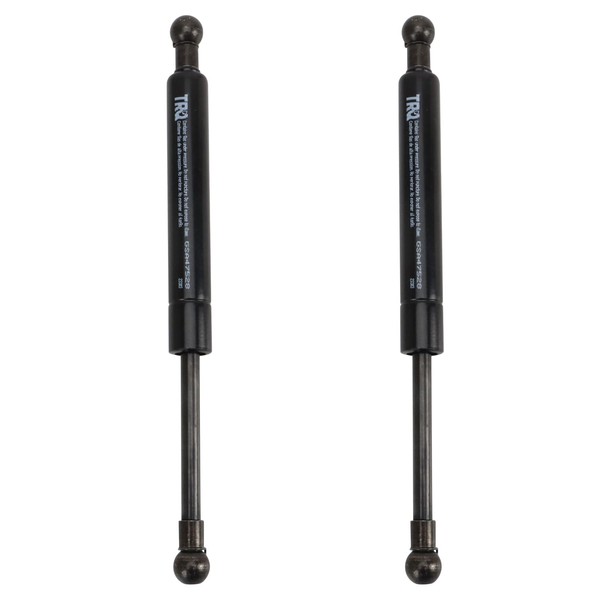 TRQ TRQ Trunk Lid Lift Support Shock Strut Set Compatible