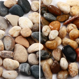 11 Lbs Unpolished Natural River Rocks for Plants 2''-3'' Large Landscaping Garden Stones Aquarium Gravel for Fish Tank Decorative Pebbles for Indoor Outdoor Planters, Big Terrarium Rocks, Home Decor