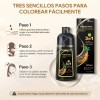 Kaisasa® Shampoo Con Tinte Cubre Canas Natural Jengibre 500ml-Negro