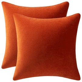 Couch Pillow Cases 20x20 Burnt Orange: 2 Pack Cozy Soft Velvet Square Throw Pillow Covers for Farmhouse Home Decor, DEZENE