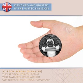 Destination Vinyl ltd Magnet for Refrigerator, Fridge BW - Funny Weight Lifting Pug Animals Cute for Office, Cabinet and Whiteboard, Magnetic Stickers, 41268