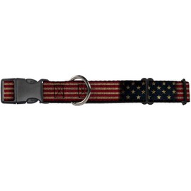 Buckle-Down MGC-W32210-M Martingale Plastic Clip Collar, 1" x11-17