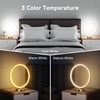 Doraubia Sunlight Lamp,10000 Lux Sun Lamp,Daylight Lamp with 3 Color