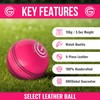 ONEGlobal Select Leather Cricket Ball | 100% Handcrafted, 156g -