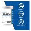 Evogen Creatina 300 Grs 60 Serv Sabor Sin Sabor