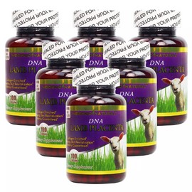 6 x WooHoo Natural DNA Lamb Placenta 100 CT Collagen Enriched Potency Guaranteed