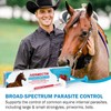 Ivermect Horse Paste 1.87%, for Horse Use Only, 6.08g, 1
