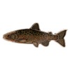KAJIKAWA Vintage FISH PINS Pin Badge Freshwater Fish Satsuki Trout