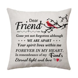 Aconesong Memorial Cushion Cover for Loss of Friend - Bereavement Gift: 'In Memory of Best Friend' 45 x 45 cm