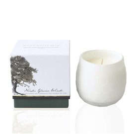 Nordic Glacier Winds | Luxury Scented Candle | 16 oz Coconut Soy Blend | Matte White Art Glass