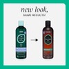 Hask Tea Tree Oil & Rosemary Invigorating Shampoo, 355 ml