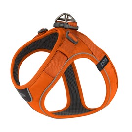 DOG Copenhagen Comfort Walk Go Dog Harness, Orange Sun, XXS