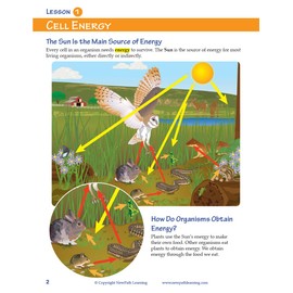 NewPath Learning 14-6726 Photosynthesis and Cellular Respiration Learning Guide, Full Color
