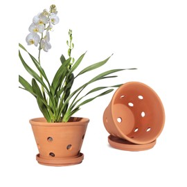 vensovo 8 Inch Terracotta Orchid Pots with Holes and Saucers - 2 Pcs Large Clay Planters for Repotting, Terra Cotta Pot for Plants Indoor and Outdoor Promotes Air Circulation