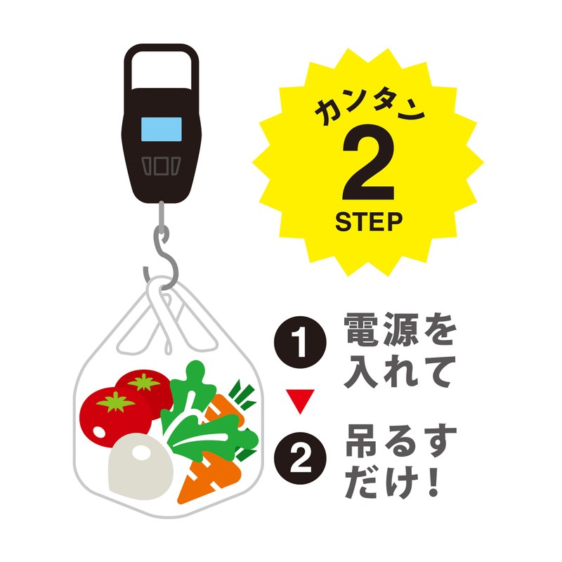 Takamura Kohki DHS-020 Digital Hanging Black 2.6 x 0.8 x