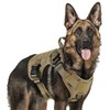 rabbitgoo Chaleco Táctico Arnés para Perro Grande con Sistema Molle