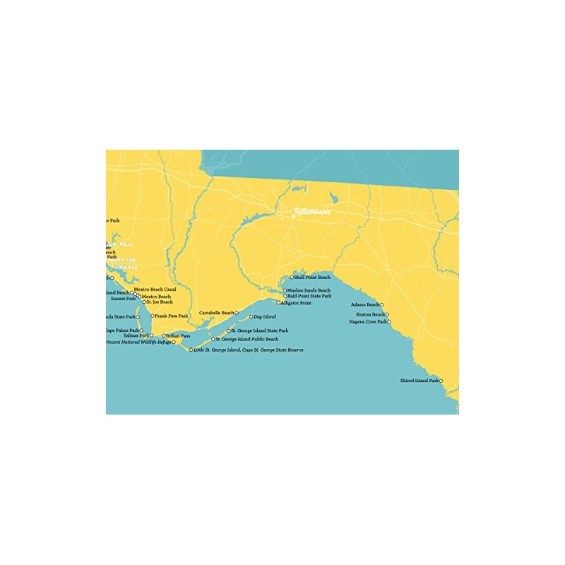 Best Maps Ever Florida Beaches Checklist Map 18x24 Poster (Marigold