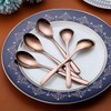 Copper Teaspoons, 6 Piece Spoons Silverware, Stainless Steel Small Spoons,