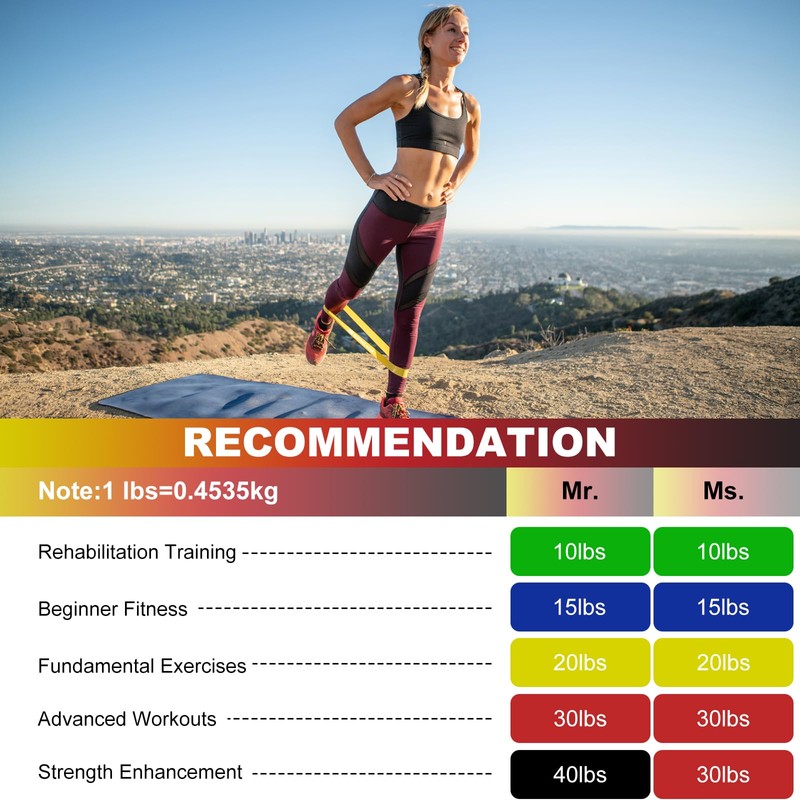 SZHLUX Resistance Bands Set with Instruction Guide and Carry Bag,