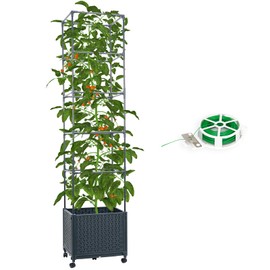 DXront Raised Garden Bed with Tomato Cage 67.6” Self Watering Tomato Planter Boxes with Trellis Wheels for Outdoor Climbing Flowers Vegetable Vine Vegetables