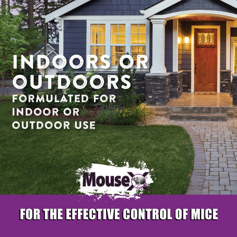 MouseX Throw Packs- for All Species of Rats Mice Safe
