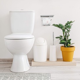 Relaxdays Toilet Roll, Wall Shelf, Phone Holder, Bathroom, Wooden, Storage, Steel, HxWxD: 8 x 18 x 9.5 cm, Silver, Stainless steel